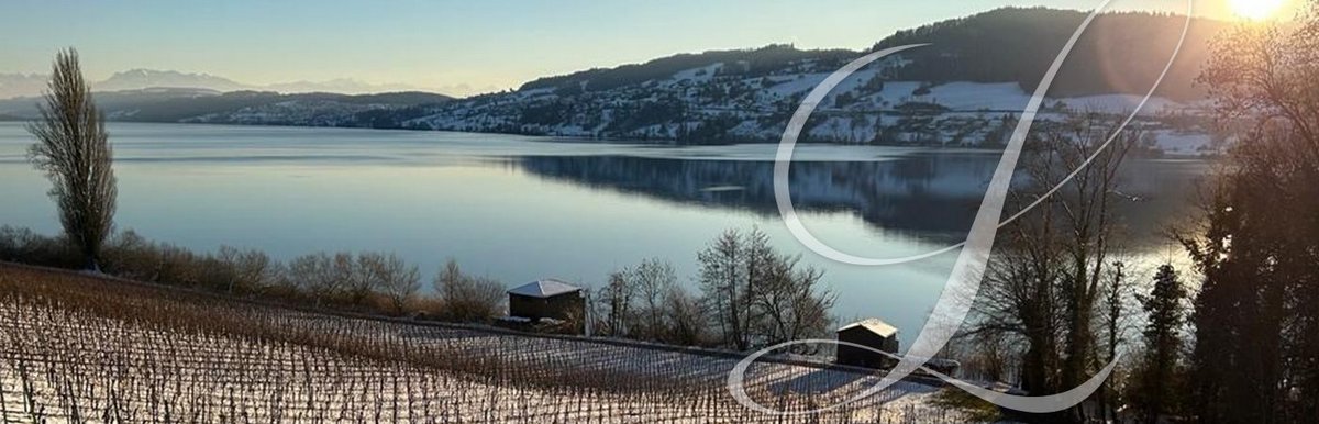 Fotos und Videos